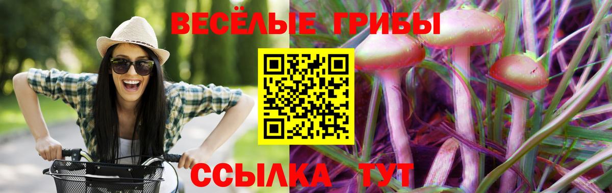 Галлюциногенные грибы ЛСД Зима