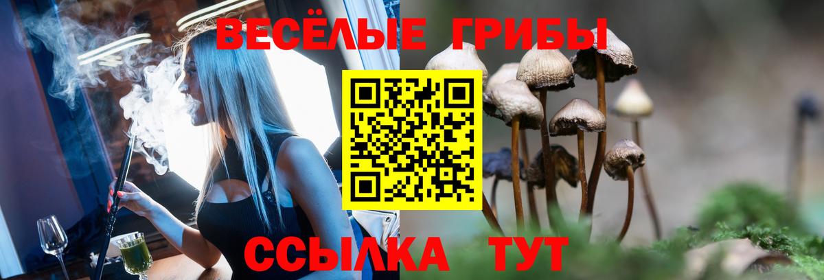 Псилоцибиновые грибы MAGIC MUSHROOMS  Вход с VPN  купить наркоту  Зима 
